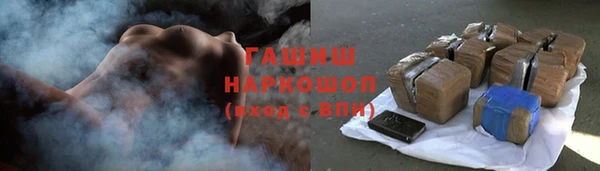 индика Костерёво