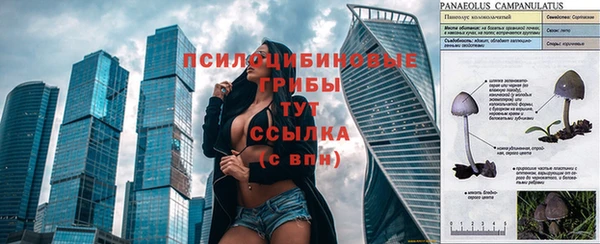 дурь Абаза