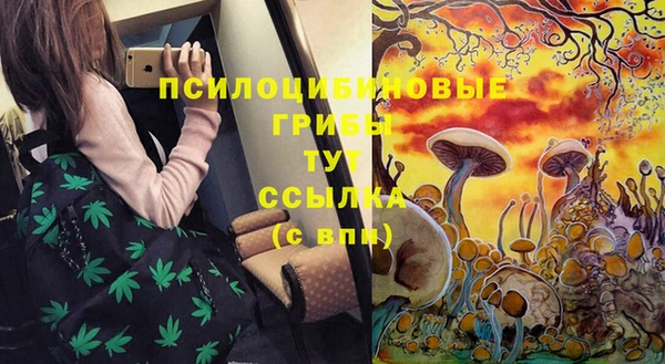 дурь Абаза