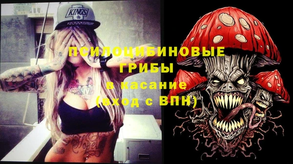 дурь Абаза